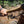 Load image into Gallery viewer, Savage Americans Wrist band